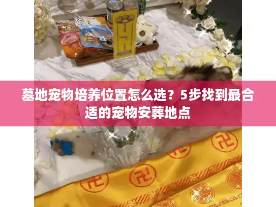 墓地宠物培养位置怎么选？5步找到最合适的宠物安葬地点