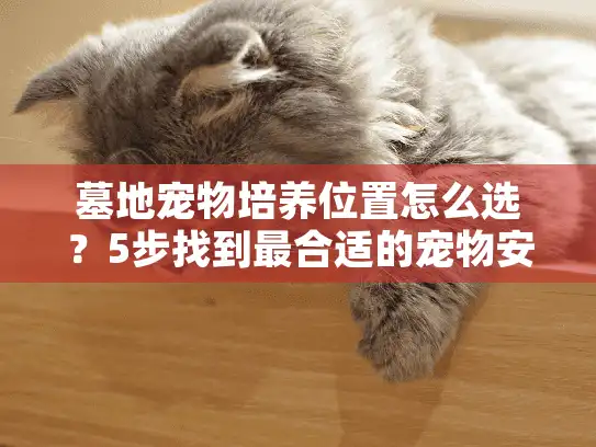 墓地宠物培养位置怎么选？5步找到最合适的宠物安葬地点