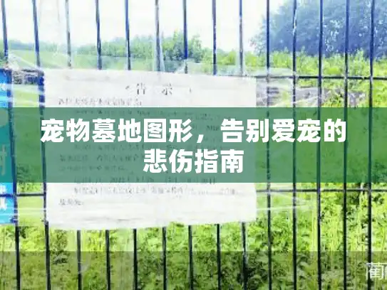 宠物墓地图形，告别爱宠的悲伤指南