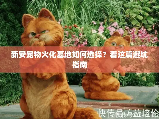 新安宠物火化墓地如何选择？看这篇避坑指南