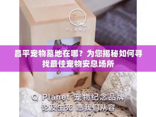 昌平宠物墓地在哪？为您揭秘如何寻找最佳宠物安息场所