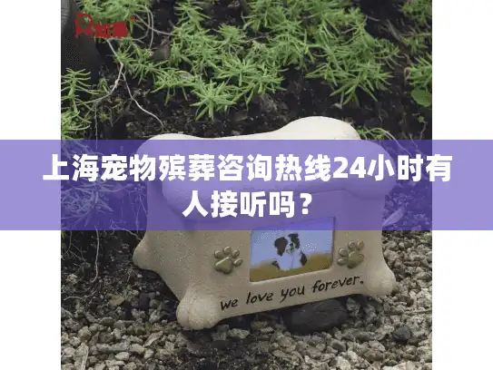 上海宠物殡葬咨询热线24小时有人接听吗？