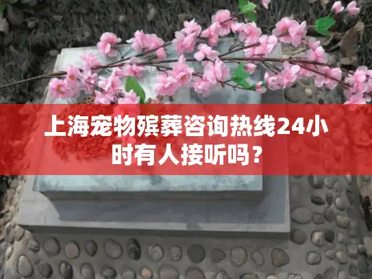 上海宠物殡葬咨询热线24小时有人接听吗？