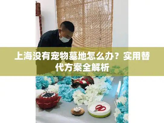 上海没有宠物墓地怎么办？实用替代方案全解析