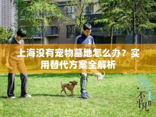 上海没有宠物墓地怎么办？实用替代方案全解析