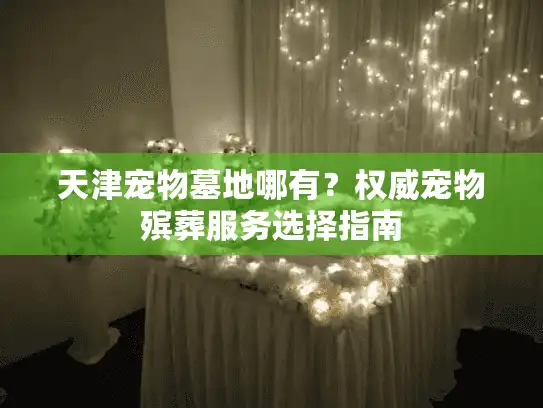 天津宠物墓地哪有？权威宠物殡葬服务选择指南