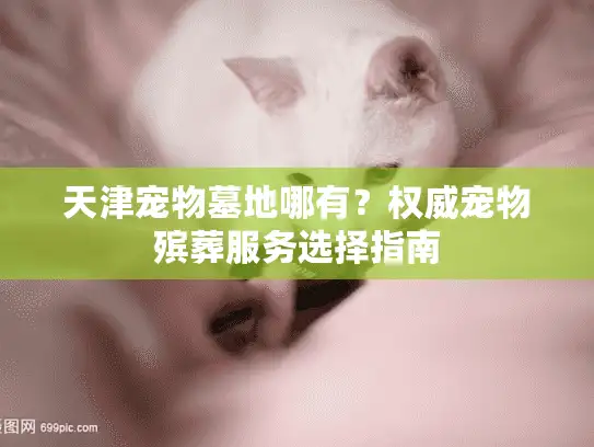 天津宠物墓地哪有？权威宠物殡葬服务选择指南