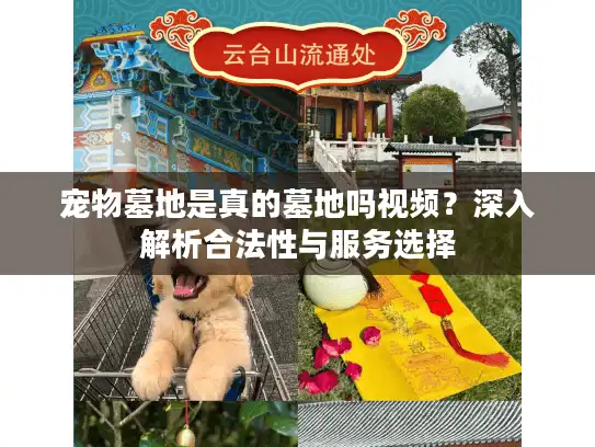 宠物墓地是真的墓地吗视频？深入解析合法性与服务选择