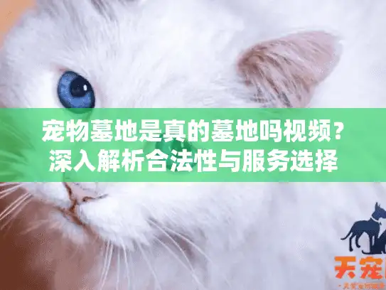 宠物墓地是真的墓地吗视频？深入解析合法性与服务选择