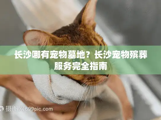 长沙哪有宠物墓地？长沙宠物殡葬服务完全指南