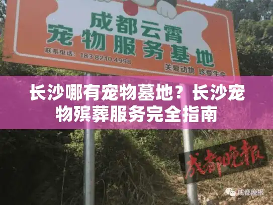 长沙哪有宠物墓地？长沙宠物殡葬服务完全指南