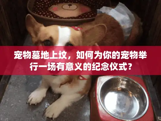 宠物墓地上坟，如何为你的宠物举行一场有意义的纪念仪式？