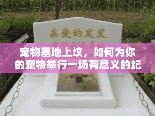 宠物墓地上坟，如何为你的宠物举行一场有意义的纪念仪式？