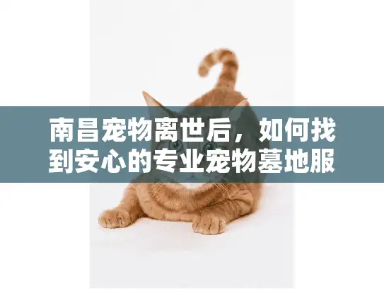 南昌宠物离世后，如何找到安心的专业宠物墓地服务？