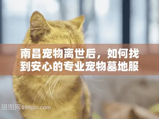南昌宠物离世后，如何找到安心的专业宠物墓地服务？