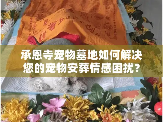 承恩寺宠物墓地如何解决您的宠物安葬情感困扰？