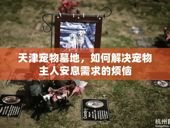 天津宠物墓地，如何解决宠物主人安息需求的烦恼