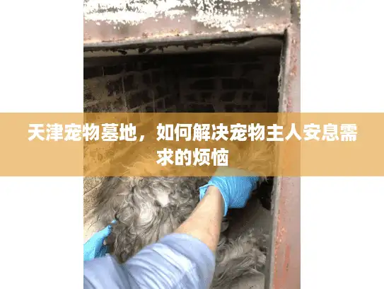 天津宠物墓地，如何解决宠物主人安息需求的烦恼