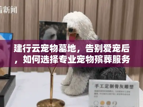 建行云宠物墓地，告别爱宠后，如何选择专业宠物殡葬服务？