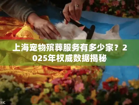上海宠物殡葬服务有多少家？2025年权威数据揭秘