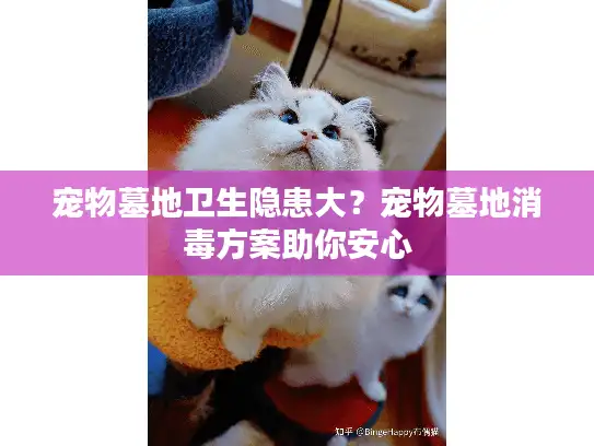 宠物墓地卫生隐患大？宠物墓地消毒方案助你安心