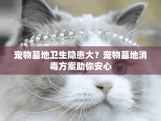 宠物墓地卫生隐患大？宠物墓地消毒方案助你安心