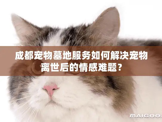 成都宠物墓地服务如何解决宠物离世后的情感难题？