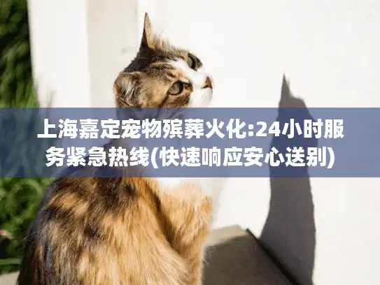 上海嘉定宠物殡葬火化:24小时服务紧急热线(快速响应安心送别)