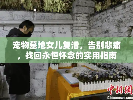 宠物墓地女儿复活，告别悲痛，找回永恒怀念的实用指南