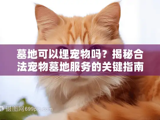 墓地可以埋宠物吗？揭秘合法宠物墓地服务的关键指南
