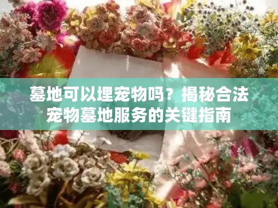 墓地可以埋宠物吗？揭秘合法宠物墓地服务的关键指南