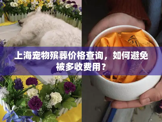上海宠物殡葬价格查询，如何避免被多收费用？