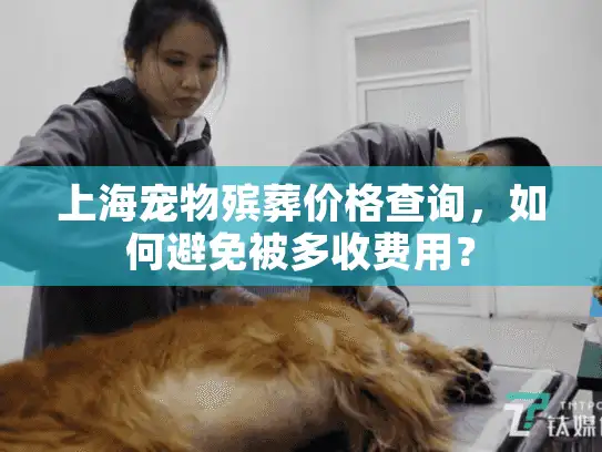 上海宠物殡葬价格查询，如何避免被多收费用？