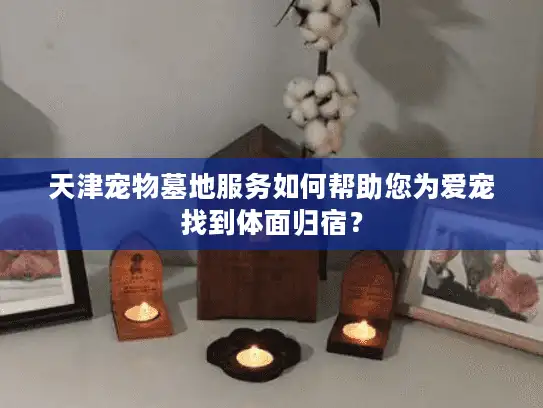天津宠物墓地服务如何帮助您为爱宠找到体面归宿？