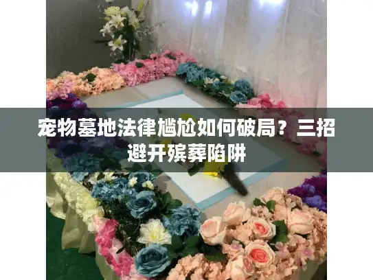 宠物墓地法律尴尬如何破局？三招避开殡葬陷阱
