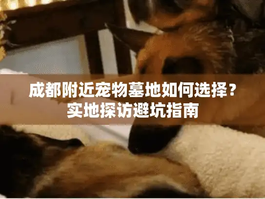 成都附近宠物墓地如何选择？实地探访避坑指南