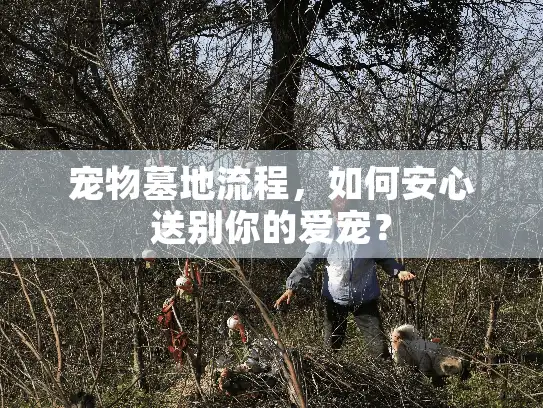 宠物墓地流程，如何安心送别你的爱宠？