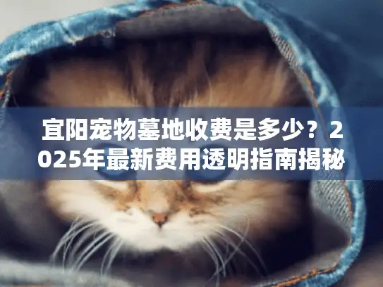 宜阳宠物墓地收费是多少？2025年最新费用透明指南揭秘