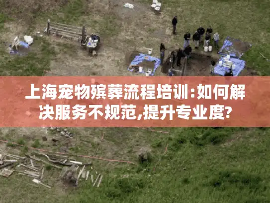 上海宠物殡葬流程培训:如何解决服务不规范,提升专业度?