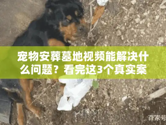 宠物安葬墓地视频能解决什么问题？看完这3个真实案例就懂了