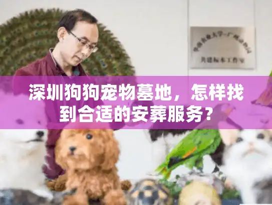 深圳狗狗宠物墓地，怎样找到合适的安葬服务？