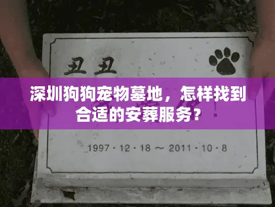 深圳狗狗宠物墓地，怎样找到合适的安葬服务？