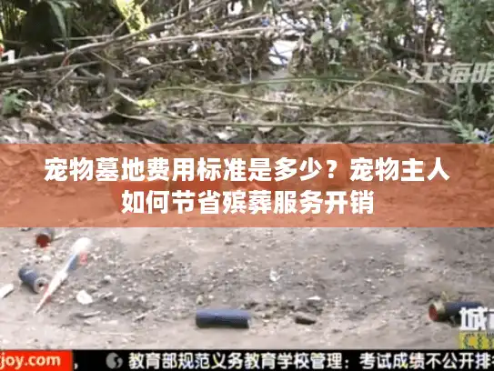 宠物墓地费用标准是多少？宠物主人如何节省殡葬服务开销