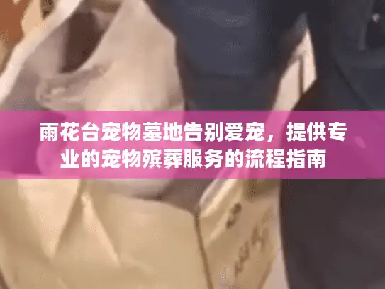 雨花台宠物墓地告别爱宠，提供专业的宠物殡葬服务的流程指南