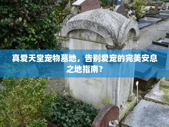 真爱天堂宠物墓地，告别爱宠的完美安息之地指南？