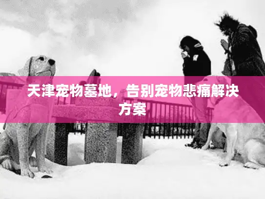 天津宠物墓地，告别宠物悲痛解决方案