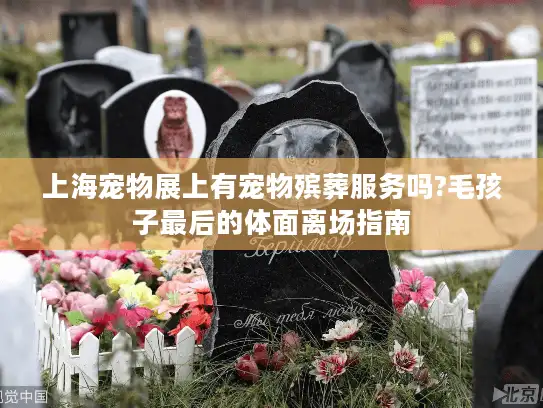 上海宠物展上有宠物殡葬服务吗?毛孩子最后的体面离场指南
