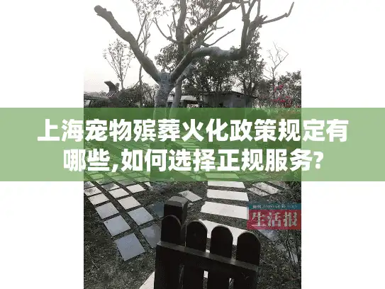 上海宠物殡葬火化政策规定有哪些,如何选择正规服务?
