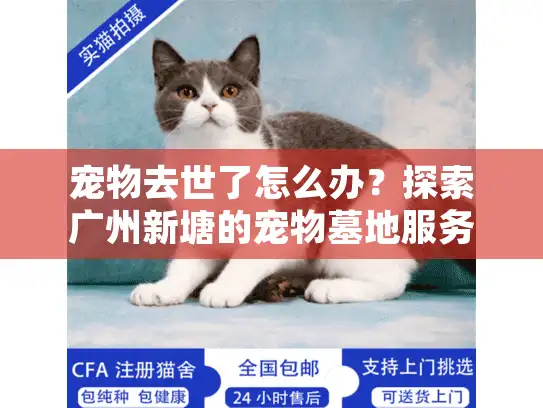 宠物去世了怎么办？探索广州新塘的宠物墓地服务选择指南