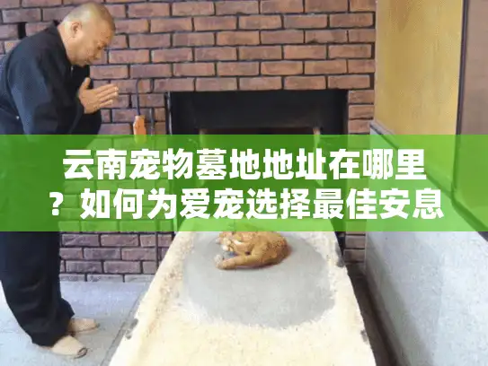 云南宠物墓地地址在哪里？如何为爱宠选择最佳安息之地？